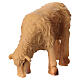 Agnelli in resina presepe 8 cm H reale 5 cm s3