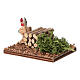 Gallo con legna presepe 10-12 cm s4