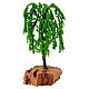 Salice piangente 15 cm presepe 8-10 cm s3