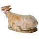 Bue presepe 20 cm Dellarte Ceramiche dipinto a mano s4