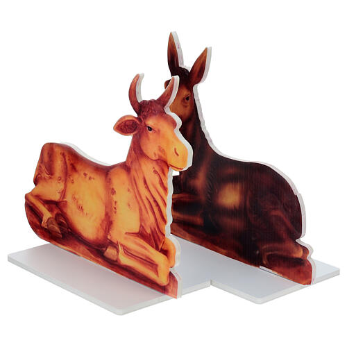 Nativity Scene with 5 forex characters, 80 cm 5