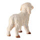 Agnello presepe legno linea Leonardo colorato olio Val Gardena s4