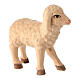 Painted wooden lamb for Val Gardena Nativity Scene, Leonardo collection s3