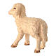 Agnello presepe legno linea Leonardo colorato Val Gardena s4