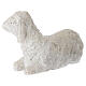 STOCK Brebis en résine pour crèche 30 cm s4