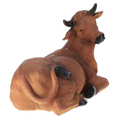 STOCK Wół leżący do szopki 60 cm, z żywicy 2