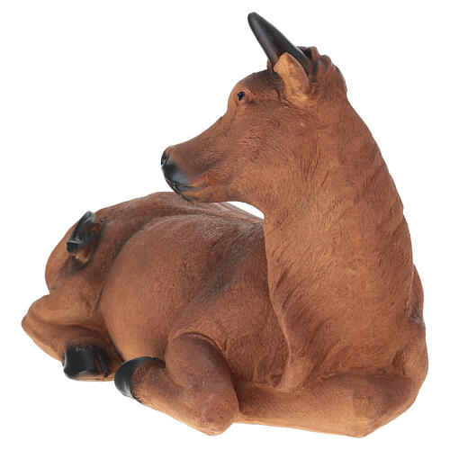 STOCK Wół leżący do szopki 60 cm, z żywicy 3