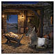 STOCK Asino resina dipinta presepe 60 cm s2