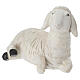 STOCK Painted resin sheep for 60 cm Nativity Scene s3