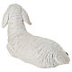 STOCK Painted resin sheep for 60 cm Nativity Scene s5