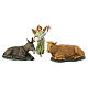 Ox, Donkey and Angel "Gloria", Arabic-style Moranduzzo Nativity Scene, 10 cm s1