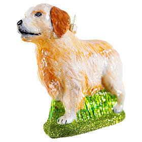 Golden Retriever, blown glass Christmas ornament, h 5 in