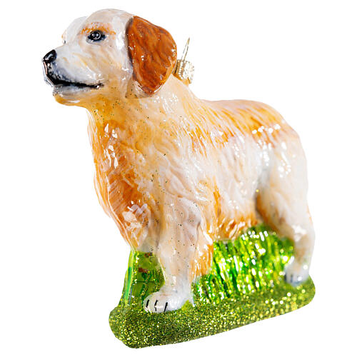 Golden Retriever, blown glass Christmas ornament, h 5 in 2