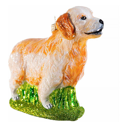 Golden Retriever, blown glass Christmas ornament, h 5 in 4