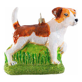 Jack Russell Terrier, Christmas ornament, blown glass, 4 in