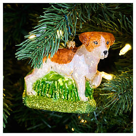 Jack Russell Terrier, Christmas ornament, blown glass, 4 in