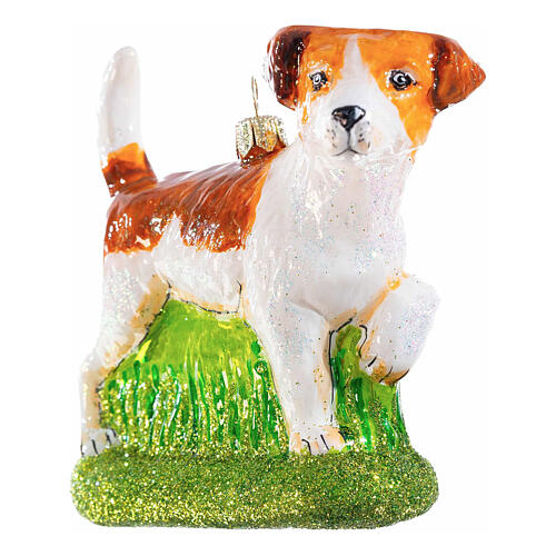 Jack Russell Terrier, Christmas ornament, blown glass, 4 in 3