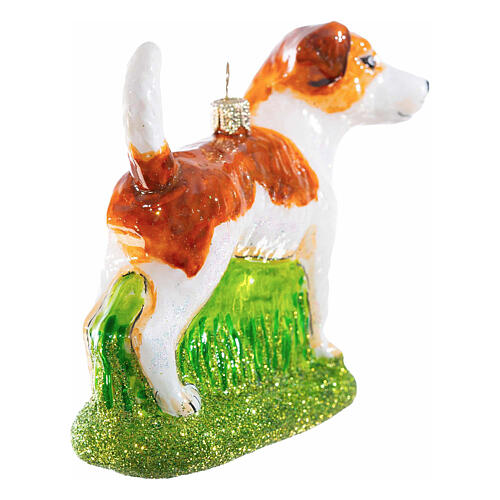 Jack Russell Terrier, Christmas ornament, blown glass, 4 in 5