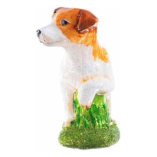 Jack Russell Terrier, Christmas ornament, blown glass, 4 in 6