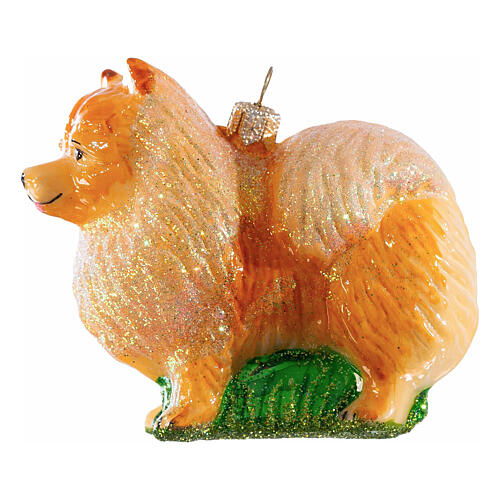 Pomeranian, Christmas tree decoration of blown glass, h 3 in 3