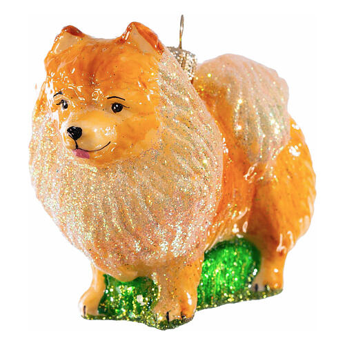 Pomeranian, Christmas tree decoration of blown glass, h 3 in 4