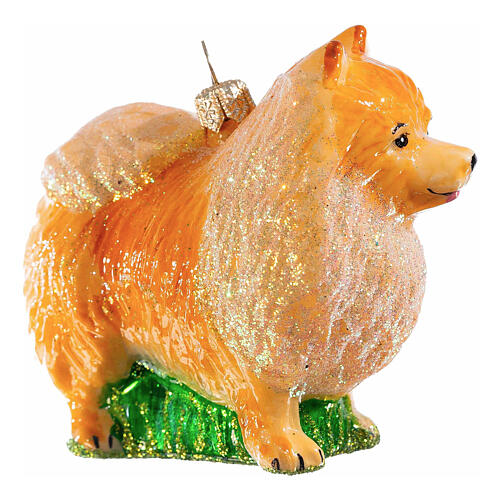 Pomeranian, Christmas tree decoration of blown glass, h 3 in 5