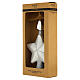 Puntale albero Natale stella argento vetro 30 cm s1