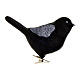 Set of 3 birds with clip, black recycled plastic, 3.5 in s4