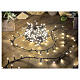 Christmas light chain of 100 warm white LED lights with solar panel, plays of light, 33 ft, outdoor s1