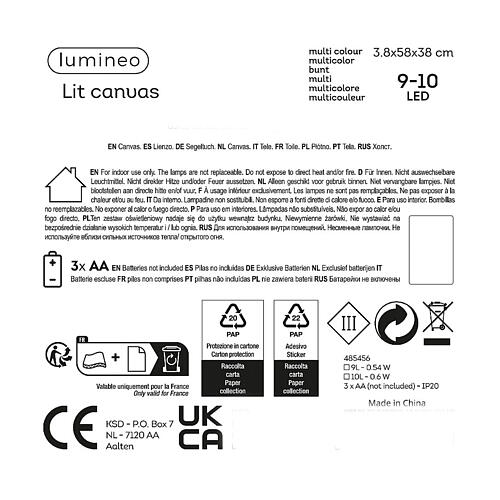 Canvas éclairé multicolore 10 LEDs pour intérieur paysage aurore boréale 5