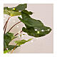 Cortina de luces para plantas 40 microLED 40 cm plata exterior interior s4