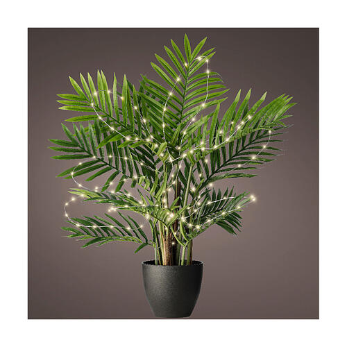 Rideau de lumières pour plantes 40 microLEDs 40 cm argent extérieur intérieur 2