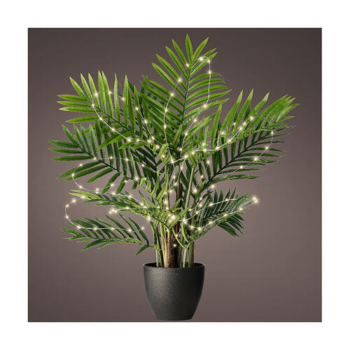 Tenda di luci per piante 40 microLED 40 cm argento esterno interno 2