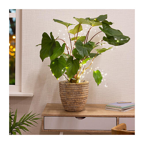 Tenda di luci per piante 40 microLED 40 cm argento esterno interno 3
