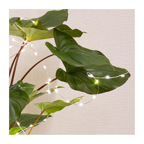 Cortina prateada de luzes para plantas interior e exterior 60 microLEDs 80 cm 3