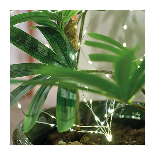 Cortina de luzes para plantas 160 microLEDs interior exterior fio prata 100 cm 2