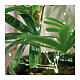 Cortina de luzes para plantas 160 microLEDs interior exterior fio prata 100 cm s2