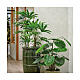 Cortina de luzes para plantas 160 microLEDs interior exterior fio prata 100 cm s4