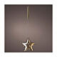 Luce decorativa natalizia stella micro LED diametro 20 cm s1