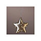 Luce decorativa natalizia stella micro LED diametro 20 cm s2
