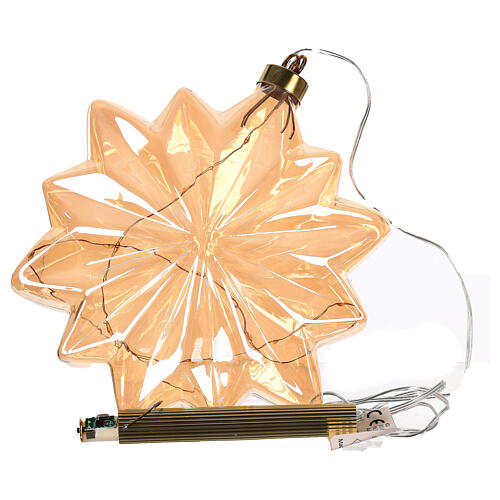 Éclairage micro LED fleur ambrée pour intérieur diam. 20 cm 5