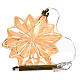 Luce natalizia micro LED fiore uso interno diametro 20 cm s5