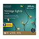 Warm lights 180 vintage LEDs 8 twinkle effect green wire s3