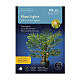 Cortina de luces para plantas microLED exterior verde 40 cm s4