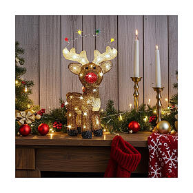 Renna luminosa 48 LED acrilico 15x30x45 cm uso interno esterno