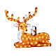 Deer, squirrel and bird, 140 LEDs, acrylic figure for indoor and outdoor, 12x32x26 in s3