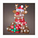 Christmas reindeer with 80 LEDs, acrylic indoor/outdoor decoration, 14x16x18 in s2