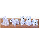 Set of 5 acrylic polar bears 70 LEDs inside and outside 15x10x10 cm s6