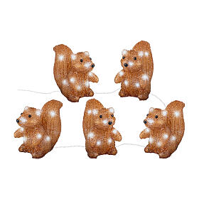 Set of 5 lighted squirrels, 70 LEDs, indoor/outdoor, 6x4x6 in, acrylic