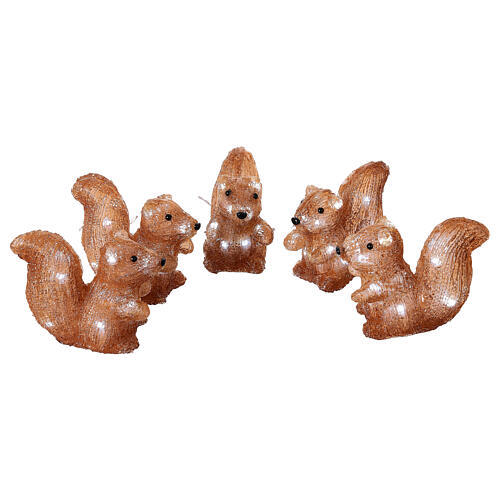 Set of 5 lighted squirrels, 70 LEDs, indoor/outdoor, 6x4x6 in, acrylic 3